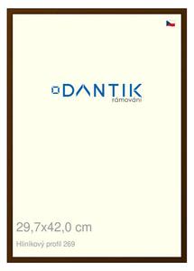 DANTIK rám na obraz 29,7x42 | ALU Hnědá umbra broušená (Plexi Čiré)