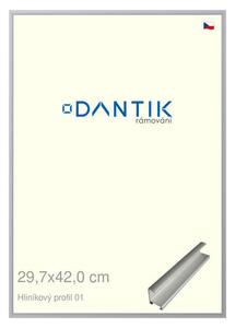 DANTIK rám na obraz 29,7x42 | ALU Stříbrná matná (Plexi Čiré)