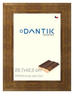 DANTIK rám na obraz 29,7x42 | TRITON široký zlatý (Plexi Čiré)