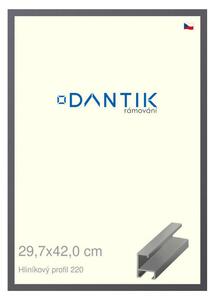 DANTIK rám na obraz 29,7x42 | ALU Ocelová (Plexi Čiré)