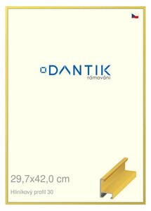 DANTIK rám na obraz 29,7x42 | ALU Dýha barevná žlutá citrus (Plexi Čiré)