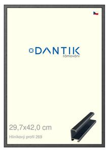 DANTIK rám na obraz 29,7x42 | ALU Šedá Oplal broušená (Plexi Čiré)