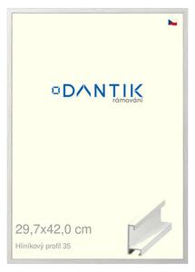 DANTIK rám na obraz 29,7x42 | ALU Dýha bílá (Plexi Čiré)