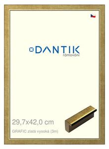 DANTIK rám na obraz 29,7x42 | GRAFIC zlatá vysoká (Plexi Čiré)