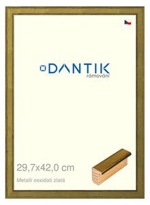 DANTIK rám na obraz 29,7x42 | Metalli oidati zlatá (Plexi Čiré)