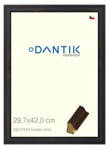 DANTIK rám na obraz 29,7x42 | DELFINO hnědá (Plexi Čiré)