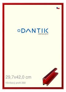 DANTIK rám na obraz 29,7x42 | ALU Červená Trumalin broušená (Plexi Čiré)