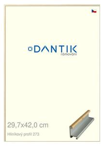 DANTIK rám na obraz 29,7x42 | ALU Dýha javor (Plexi Čiré)