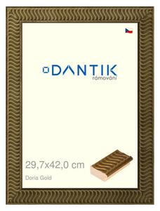 DANTIK rám na obraz 29,7x42 | Doria Gold (Plexi Čiré)