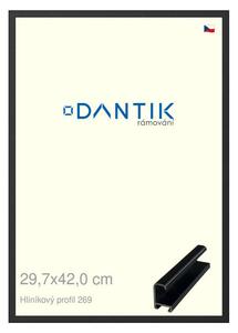 DANTIK rám na obraz 29,7x42 | ALU Černá matná (Plexi Čiré)