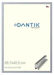 DANTIK rám na obraz 29,7x42 | ALU Sstříbrná broušená (Plexi Čiré)