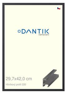 DANTIK rám na obraz 29,7x42 | ALU Černá matná (Plexi Čiré)