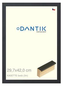 DANTIK rám na obraz 29,7x42 | KASSETTE šedá (Plexi Čiré)