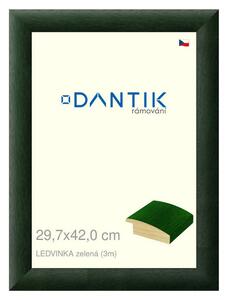 DANTIK rám na obraz 29,7x42 | LEDVINKA zelená (Plexi Čiré)