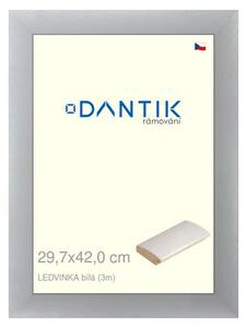 DANTIK rám na obraz 29,7x42 | LEDVINKA bílá (Plexi Čiré)
