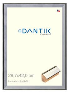 DANTIK rám na obraz 29,7x42 | INCLINATA colori Bílá (Plexi Čiré)