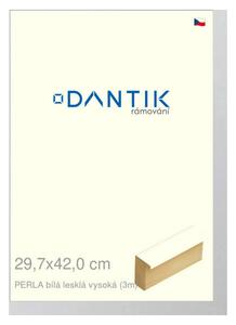 DANTIK rám na obraz 29,7x42 | PERLA bílá lesklá vysoká (Plexi Čiré)