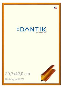 DANTIK rám na obraz 29,7x42 | ALU Oranžová Citrin broušená (Plexi Čiré)