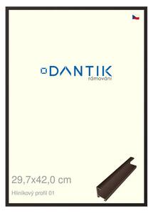 DANTIK rám na obraz 29,7x42 | ALU Hnědá matná (Plexi Čiré)