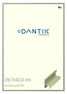 DANTIK rám na obraz 29,7x42 | ALU Dýha barevná zelená pastel (Plexi Čiré)
