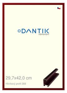 DANTIK rám na obraz 29,7x42 | ALU Červená Rubin broušená (Plexi Čiré)