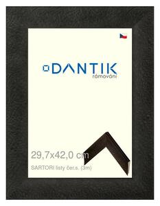 DANTIK rám na obraz 29,7x42 | SARTORI listy čer.s. (Plexi Čiré)