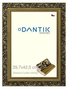 DANTIK rám na obraz 29,7x42 | Claico 2 (zlato ořechy) (Plexi Čiré)