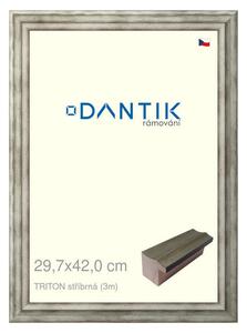 DANTIK rám na obraz 29,7x42 | TRITON stříbrná (Plexi Čiré)