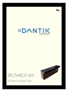 DANTIK rám na obraz 29,7x42 | FC černá vysoká (Plexi Čiré)
