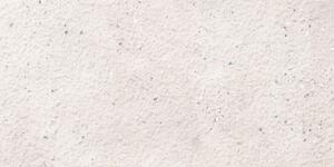 Obklad Rako Pino smoothie 30x60 cm reliéfna WBRVK203.1