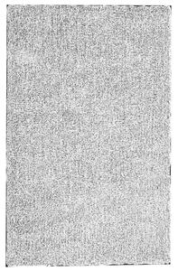 Koberec čierno-biely sivá melanž 200 x 300 cm moderný všívaný strojom obdĺžnikový huňatý s vysokým vlasom