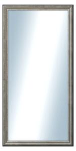 DANTIK - Zrkadlo v rámu, rozmer s rámom 50x100 cm z lišty Anversa strieborná (3152)