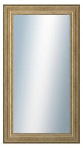 DANTIK - Zrkadlo v rámu, rozmer s rámom 50x90 cm z lišty HRAD strieborná patina (2823)
