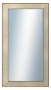 DANTIK - Zrkadlo v rámu, rozmer s rámom 50x90 cm z lišty TOOTH strieborná (2779)