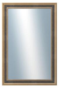 DANTIK - Zrkadlo v rámu, rozmer s rámom 40x60 cm z lišty TOOTH malá zlatá (3163)