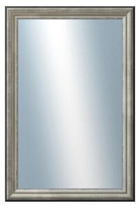 DANTIK - Zrkadlo v rámu, rozmer s rámom 40x60 cm z lišty Anversa strieborná (3152)