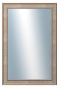 DANTIK - Zrkadlo v rámu, rozmer s rámom 40x60 cm z lišty TOOTH malá strieborná (3162)
