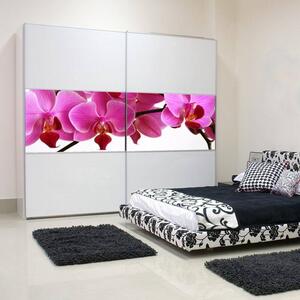 Nálepka na nábytok - Ružové orchidey