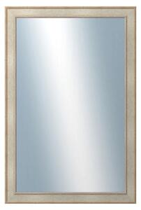 DANTIK - Zrkadlo v rámu, rozmer s rámom 60x120 cm z lišty TOOTH strieborná (2779)