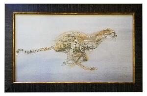 - Gepard | 44.0x72.0
