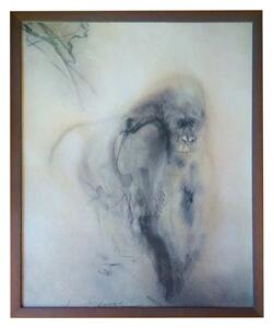 - gorila | 51.2x61.2