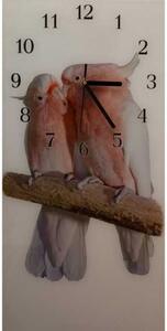 Nástenné hodiny papagáj 30x60cm XLVII - plexi