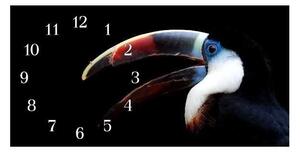 Nástenné hodiny papagáj 30x60cm XIV - plexi