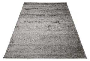 Kusový koberec Shaggy Parba sivý 120x170cm