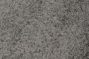 Kusový koberec Shaggy Parba sivý 120x170cm