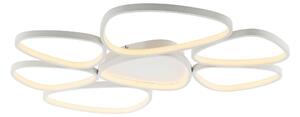 STROPNÉ LED SVIETIDLO, 92/70/6,5 cm - Interiérové svietidlá