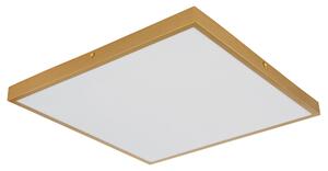 STROPNÉ LED SVIETIDLO, 45/46/3 cm Globo - Interiérové svietidlá