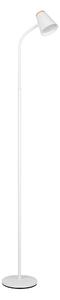 STOJACIA LED LAMPA, 145/19,5/37 cm - Interiérové svietidlá