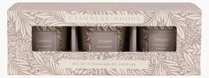 Vonné sviečky Cashmere Woods (Cashmere Woods, Bergamot, Vanilla & Amber), 3 ks