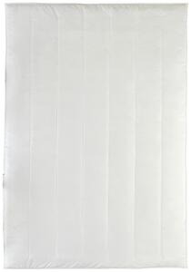 CELOROČNÁ PRIKRÝVKA, 135/200 cm, Centa-Star - Prikrývky & vankúše, Online Only